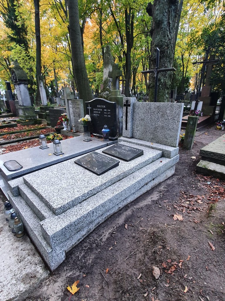 Mycie zabytkowego pomnika z piaskowca w ramach opieki nad grobem na cmentarzu Stare Powązki w Warszawie