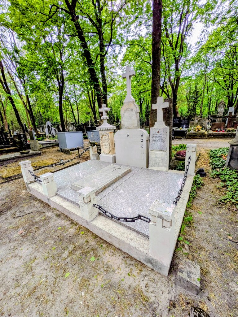Mycie i sprzątanie grobu w warszawie na cmentarzu powązkowskim w ramach opieki nad grobem z piaskowca